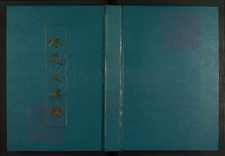 福建省宁德市霞浦县林氏九龙堂族谱-林氏大族谱.pdf电子版缩略图