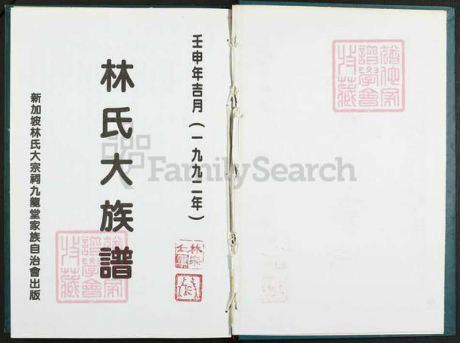 福建省宁德市霞浦县林氏九龙堂族谱-林氏大族谱.pdf电子版预览图1