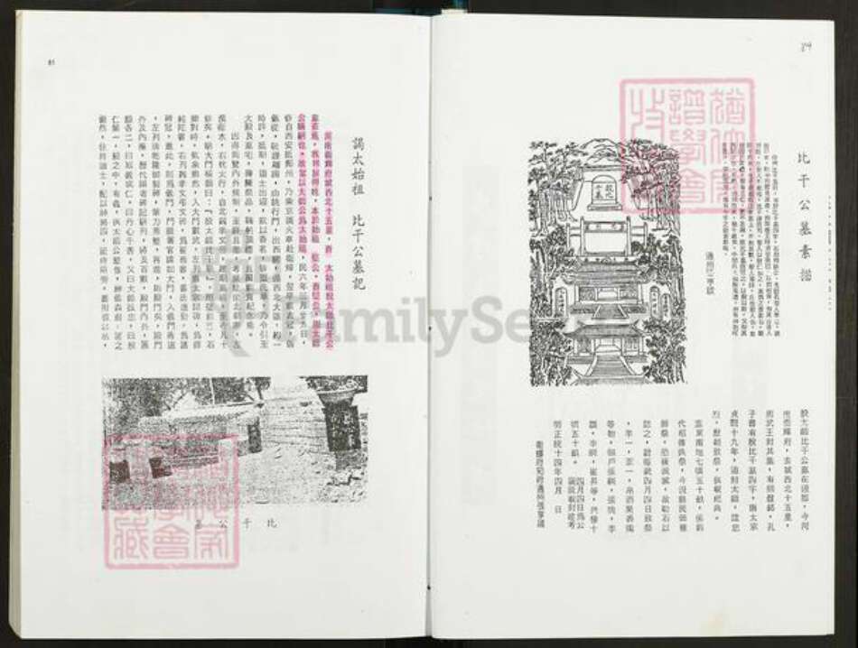 福建省宁德市霞浦县林氏九龙堂族谱-林氏大族谱.pdf电子版预览图5