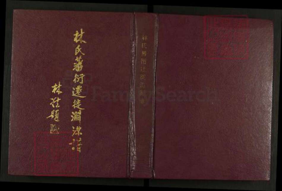 福建省福州市晋安区林氏族谱-林氏蕃衍迁徙渊源谱.pdf电子版缩略图