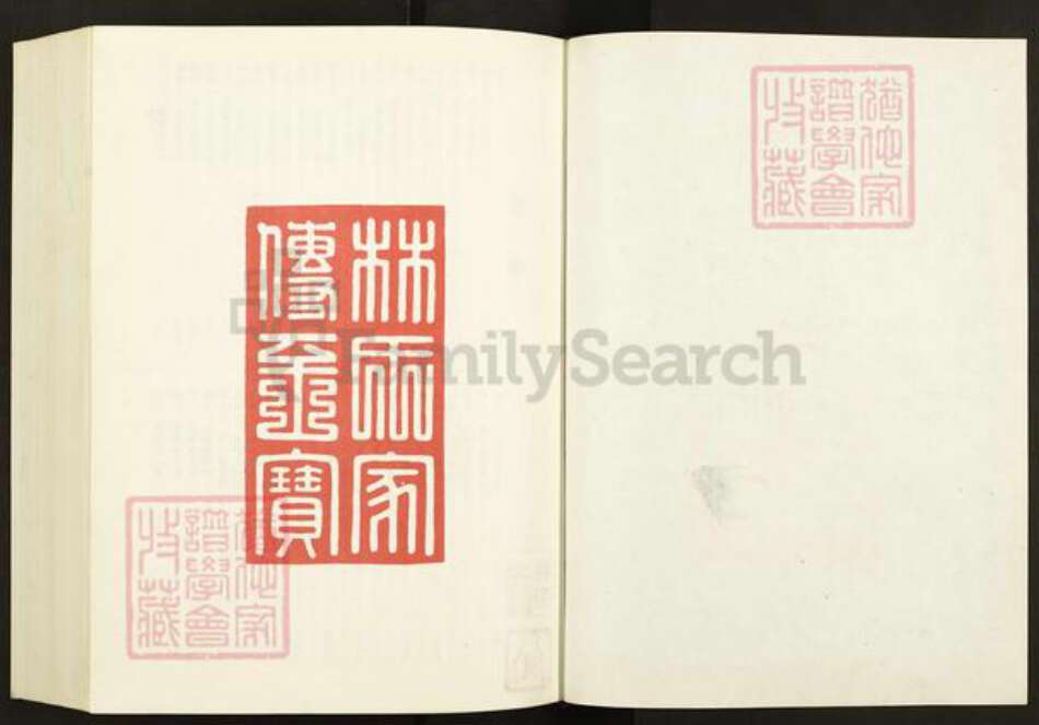 福建省福州市晋安区林氏族谱-林氏蕃衍迁徙渊源谱.pdf电子版预览图1