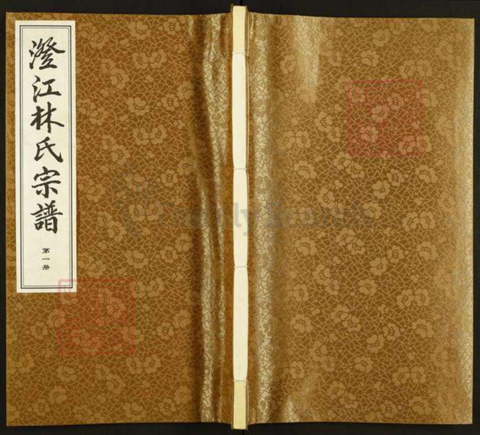 江苏省无锡市江阴市青阳镇林氏文元堂族谱-澄江林氏宗谱.pdf电子版缩略图