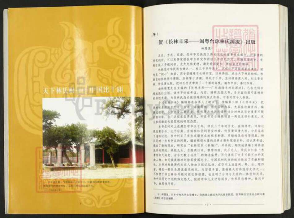 福建省莆田市林氏族谱-长林丰采.闽粤台琼林氏源流.pdf电子版预览图4