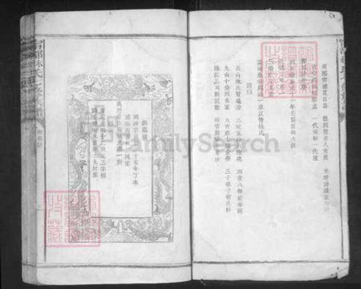 江西省赣州市宁都县林氏忠孝堂族谱-宁都林氏七修族谱.pdf电子版预览图3