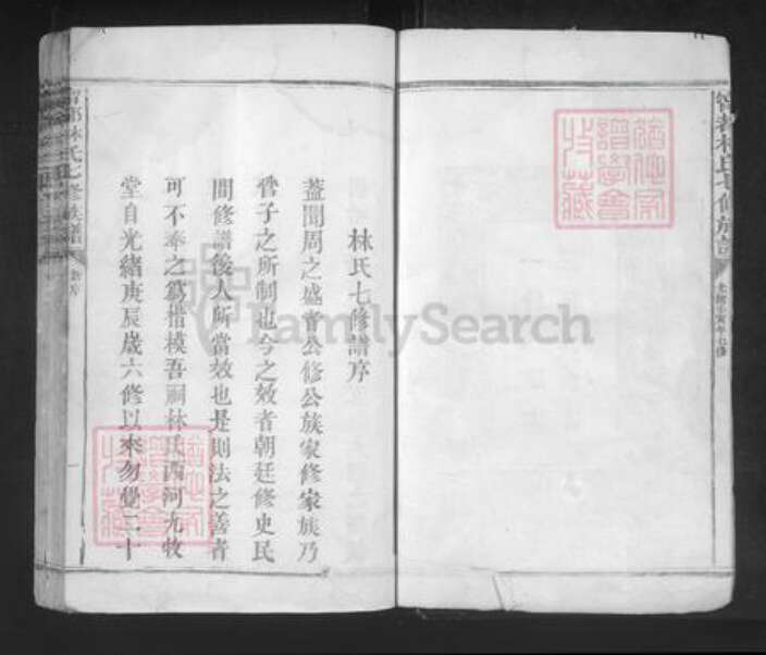 江西省赣州市宁都县林氏忠孝堂族谱-宁都林氏七修族谱.pdf电子版预览图5