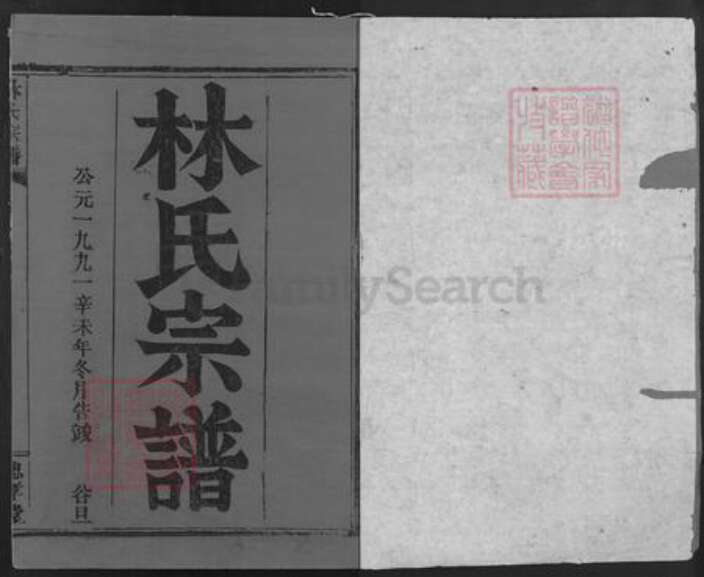 湖北省咸宁市崇阳县金塘镇林氏忠孝堂族谱-林氏宗谱.pdf电子版预览图1