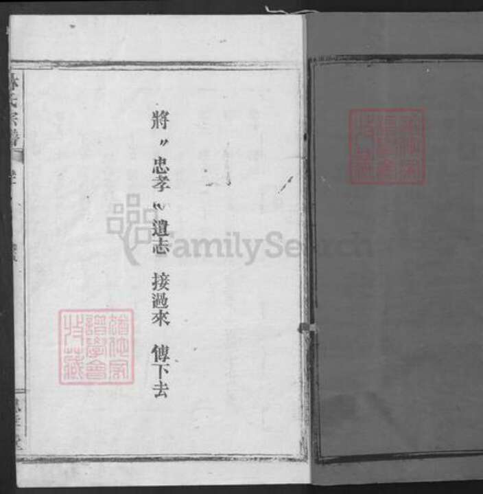湖北省咸宁市崇阳县金塘镇林氏忠孝堂族谱-林氏宗谱.pdf电子版预览图2