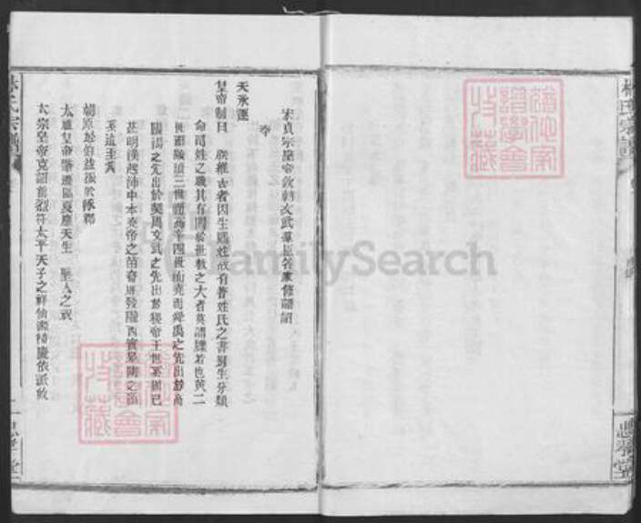 湖北省咸宁市崇阳县金塘镇林氏忠孝堂族谱-林氏宗谱.pdf电子版预览图5