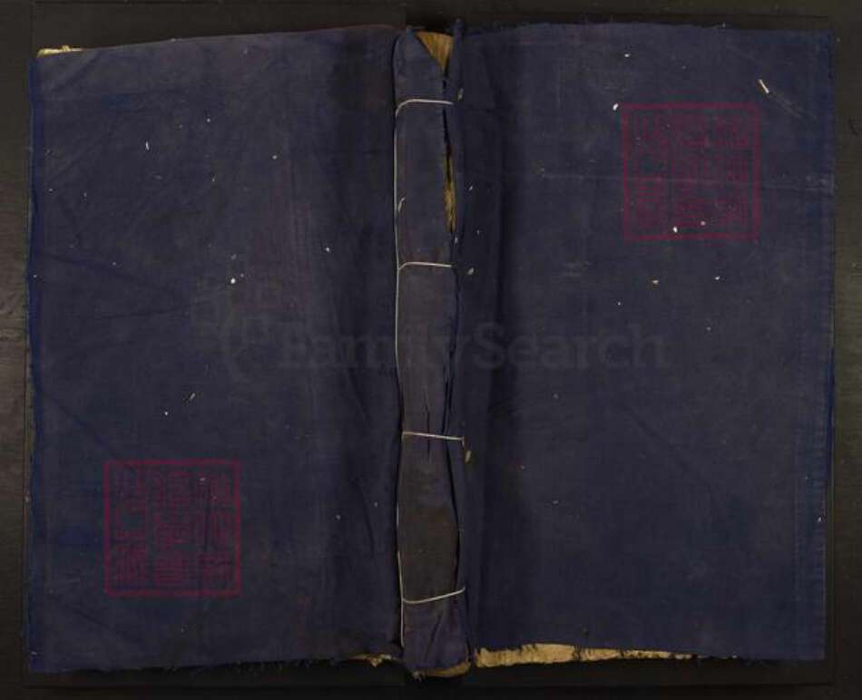 江西省赣州市于都县罗江乡林氏济南堂族谱-雩邑西乡罗家渡林氏迭修族谱.pdf电子版缩略图