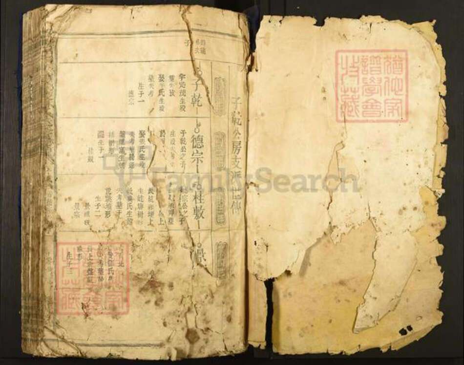 江西省赣州市于都县罗江乡林氏济南堂族谱-雩邑西乡罗家渡林氏迭修族谱.pdf电子版预览图1