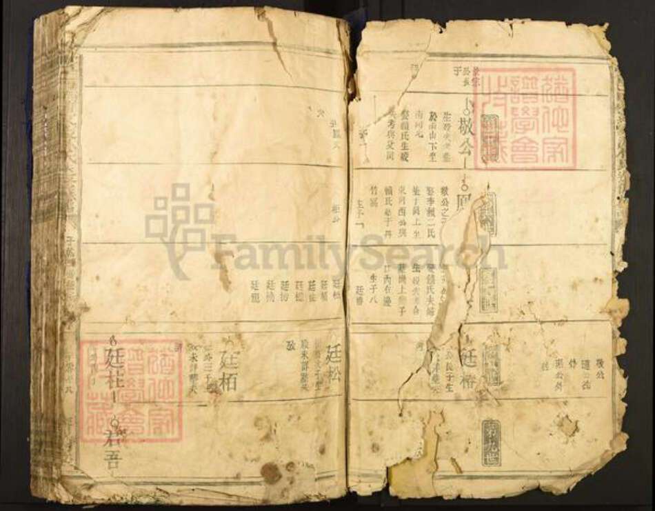 江西省赣州市于都县罗江乡林氏济南堂族谱-雩邑西乡罗家渡林氏迭修族谱.pdf电子版预览图2