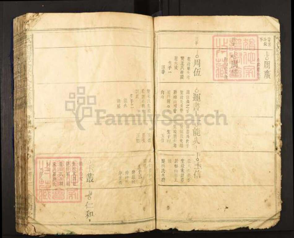 江西省赣州市于都县罗江乡林氏济南堂族谱-雩邑西乡罗家渡林氏迭修族谱.pdf电子版预览图5