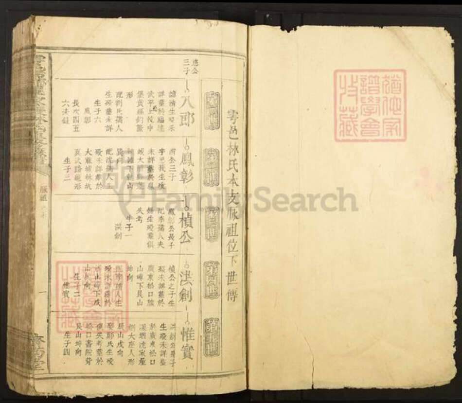 江西省赣州市于都县罗江乡林氏济南堂族谱-雩邑西乡罗家渡林氏迭修族谱.pdf电子版预览图1