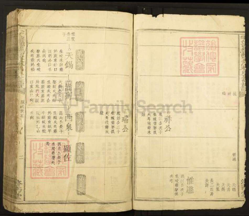 江西省赣州市于都县罗江乡林氏济南堂族谱-雩邑西乡罗家渡林氏迭修族谱.pdf电子版预览图2