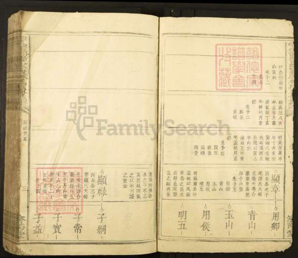 江西省赣州市于都县罗江乡林氏济南堂族谱-雩邑西乡罗家渡林氏迭修族谱.pdf电子版预览图3