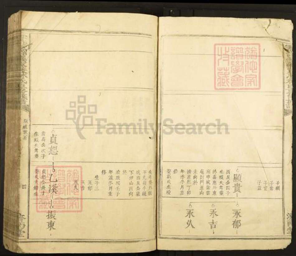 江西省赣州市于都县罗江乡林氏济南堂族谱-雩邑西乡罗家渡林氏迭修族谱.pdf电子版预览图4