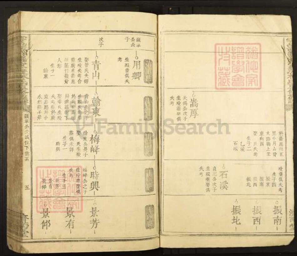 江西省赣州市于都县罗江乡林氏济南堂族谱-雩邑西乡罗家渡林氏迭修族谱.pdf电子版预览图5