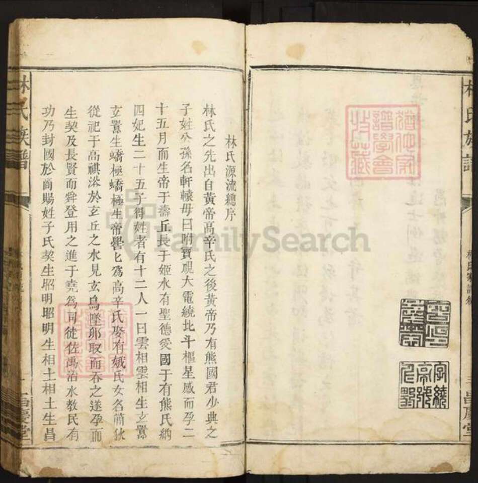 江西省赣州市石城县大由乡林氏昌庆堂族谱-林氏族谱.pdf电子版预览图4