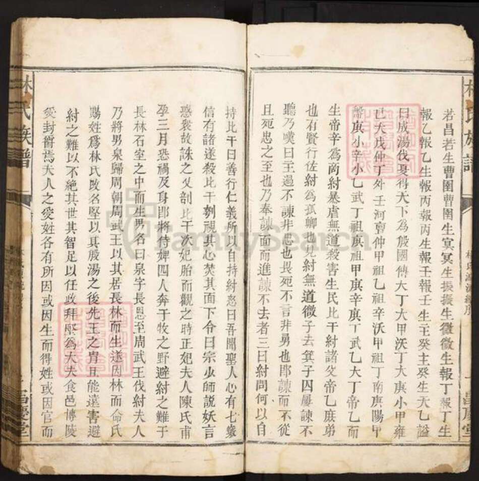 江西省赣州市石城县大由乡林氏昌庆堂族谱-林氏族谱.pdf电子版预览图5