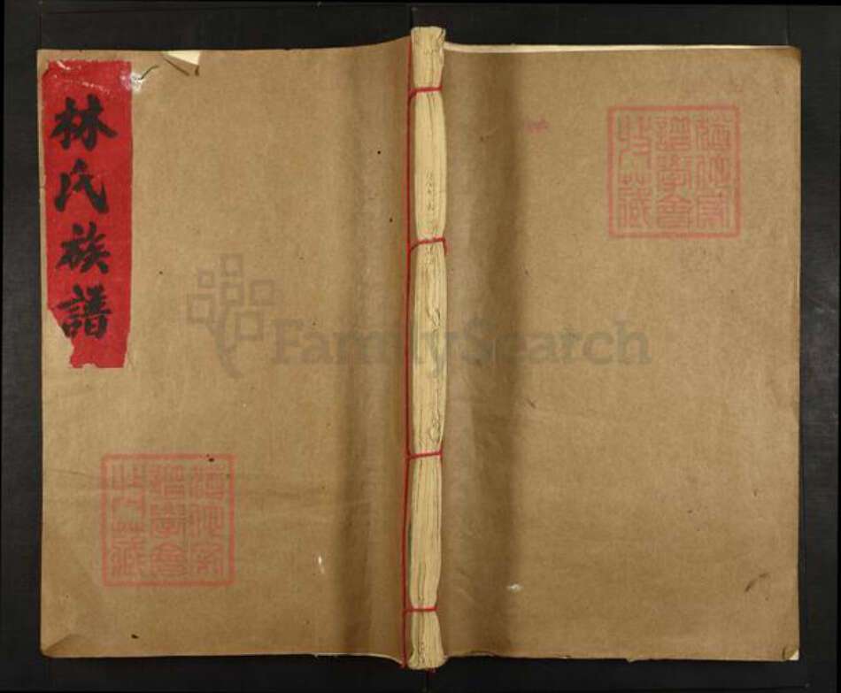 江西省赣州市会昌县林氏西河堂族谱-林氏族谱.pdf电子版缩略图