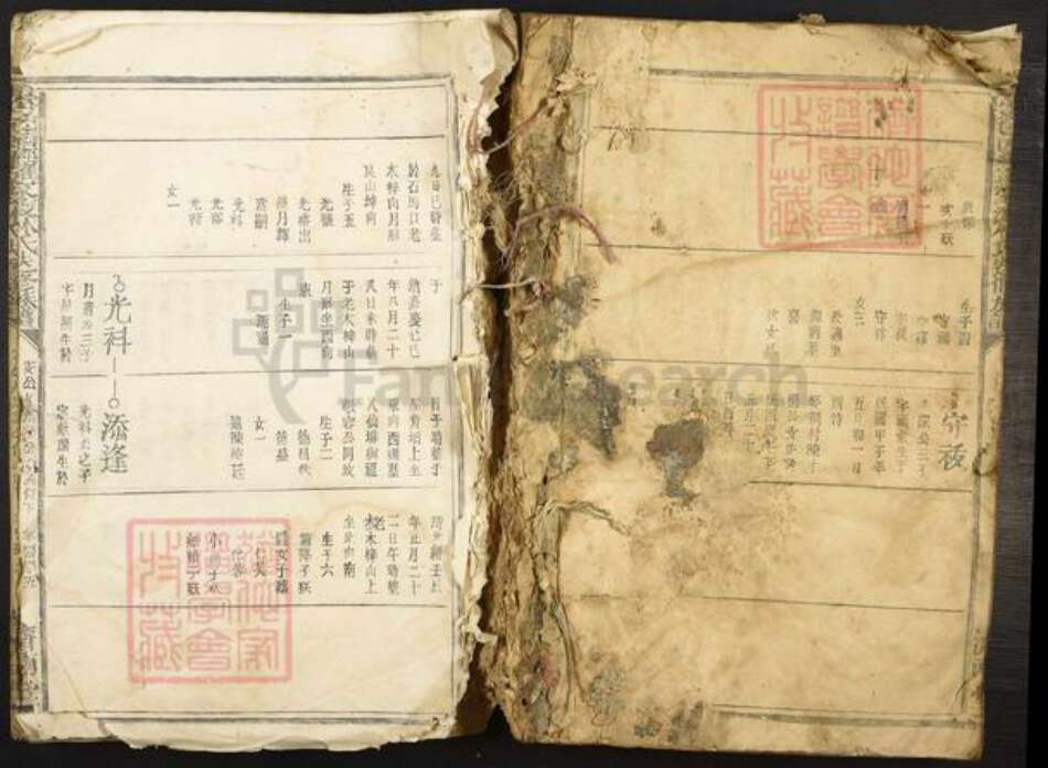 江西省赣州市于都县罗江乡林氏济南堂族谱-雩邑西乡罗家渡林氏迭修族谱.pdf电子版缩略图