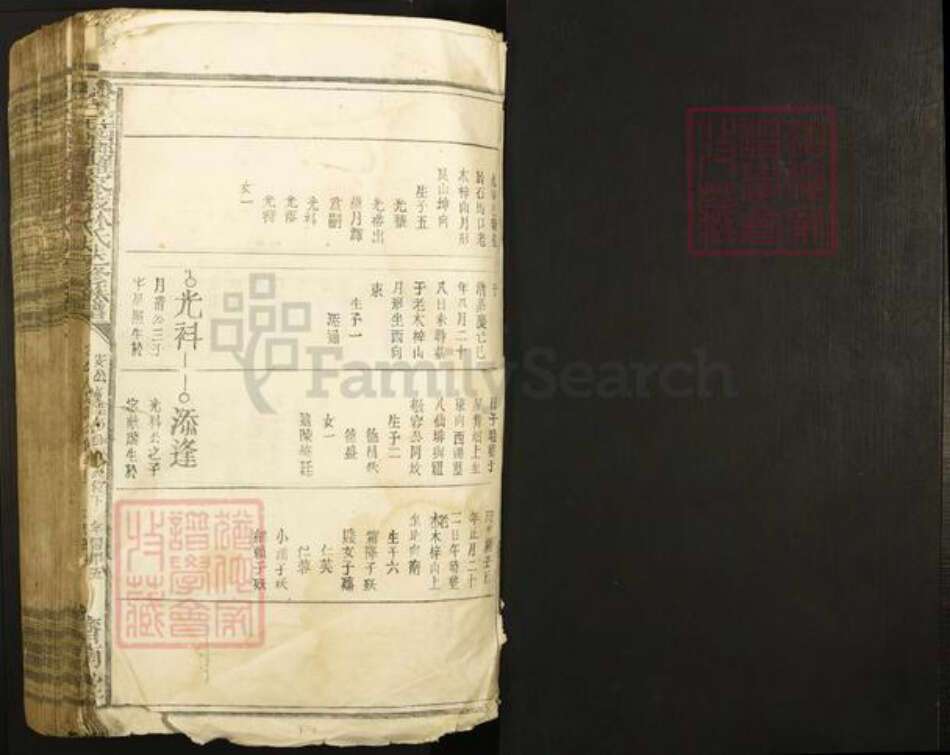 江西省赣州市于都县罗江乡林氏济南堂族谱-雩邑西乡罗家渡林氏迭修族谱.pdf电子版预览图1