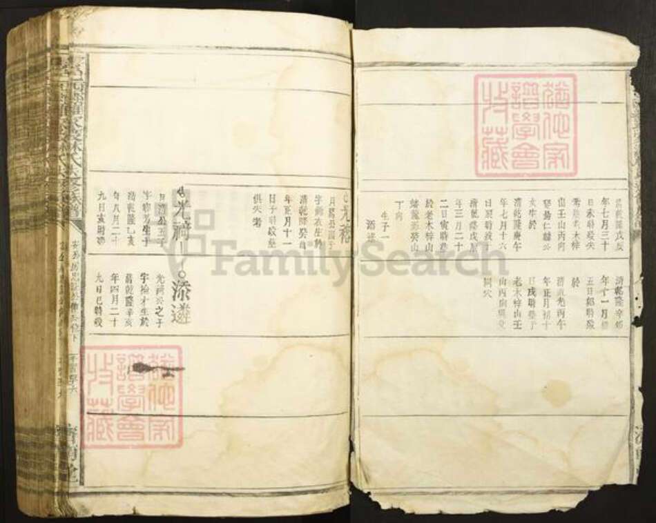 江西省赣州市于都县罗江乡林氏济南堂族谱-雩邑西乡罗家渡林氏迭修族谱.pdf电子版预览图2