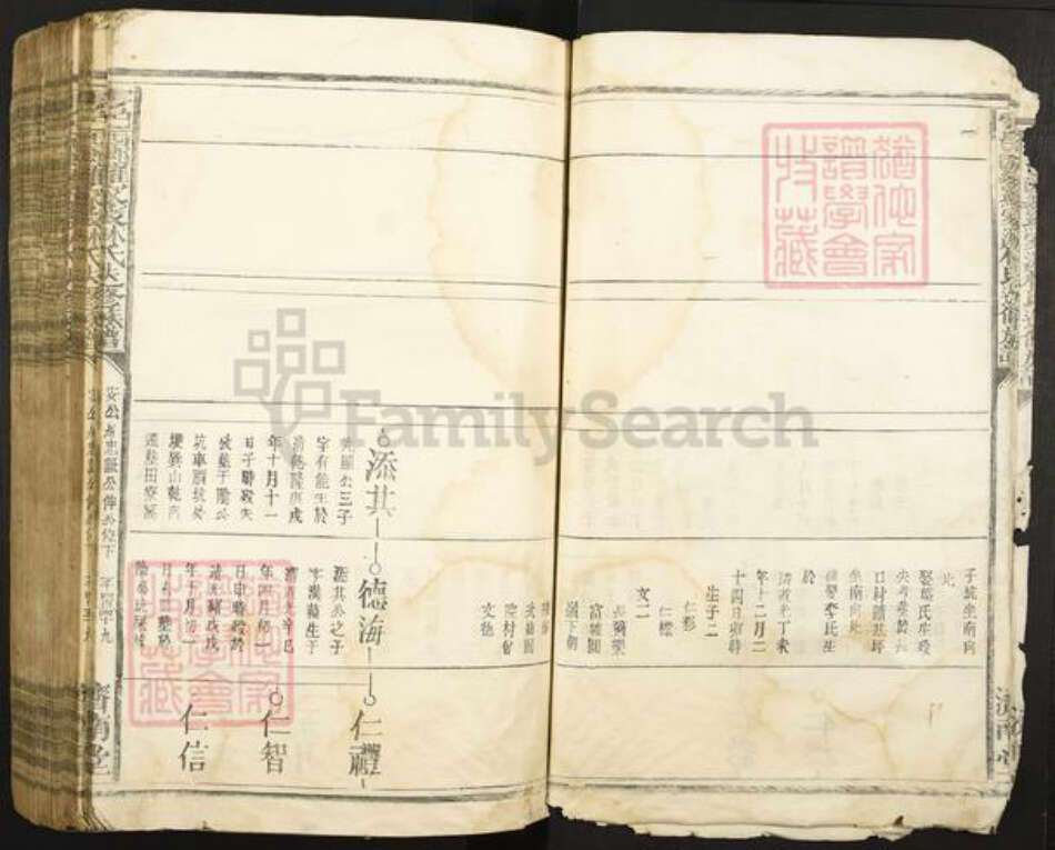 江西省赣州市于都县罗江乡林氏济南堂族谱-雩邑西乡罗家渡林氏迭修族谱.pdf电子版预览图5