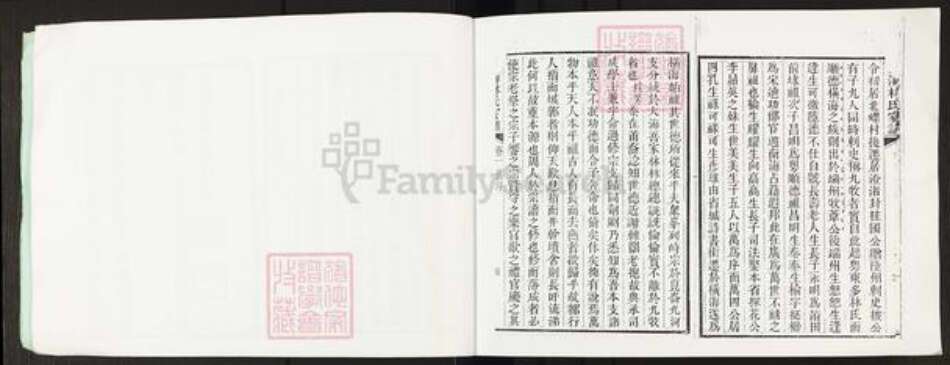 广东省佛山市顺德区林氏族谱-文海林氏家谱.pdf电子版预览图4