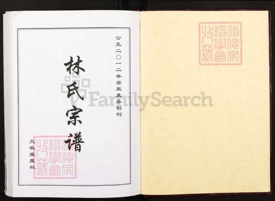 湖北省黄冈市红安县杏花乡林氏九牧堂族谱-林氏宗谱.pdf电子版预览图1