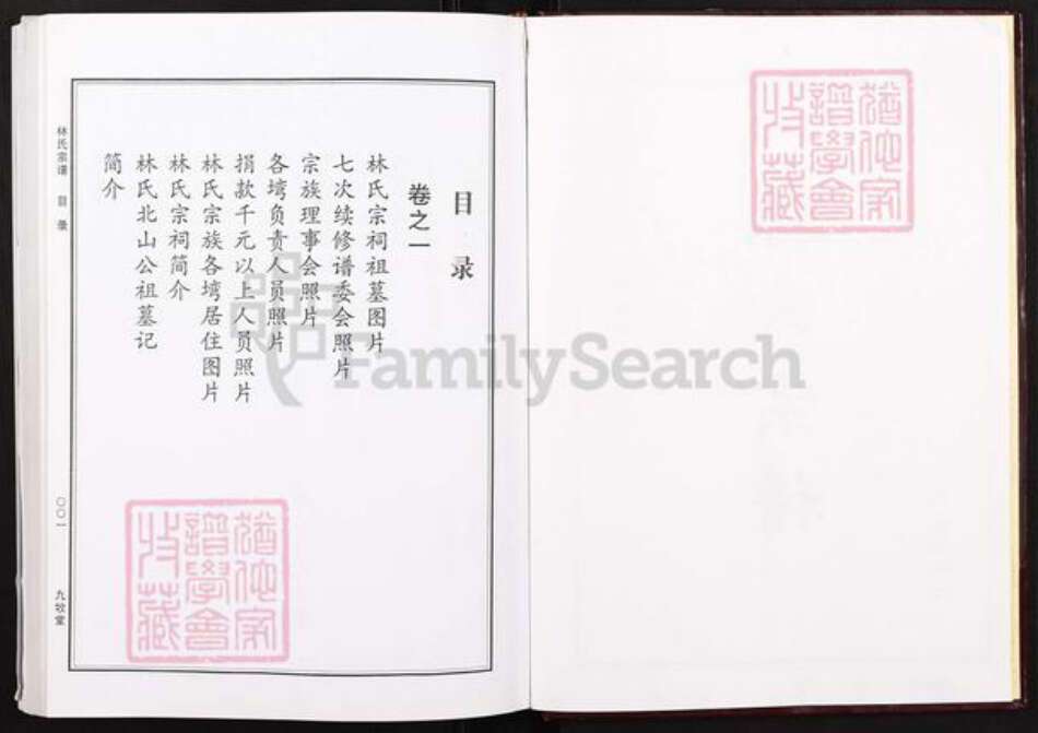 湖北省黄冈市红安县杏花乡林氏九牧堂族谱-林氏宗谱.pdf电子版预览图2