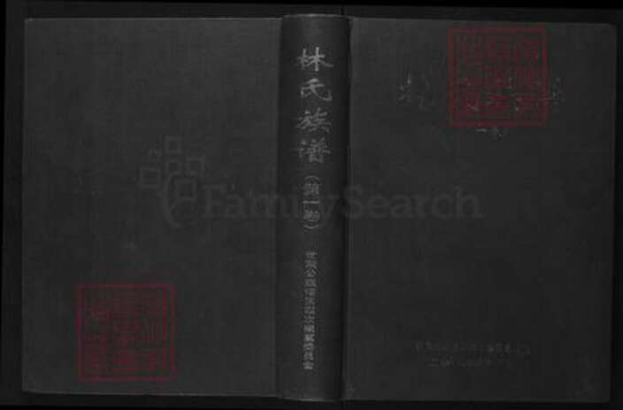广东省韶关市林氏族谱-林氏族谱.pdf电子版缩略图