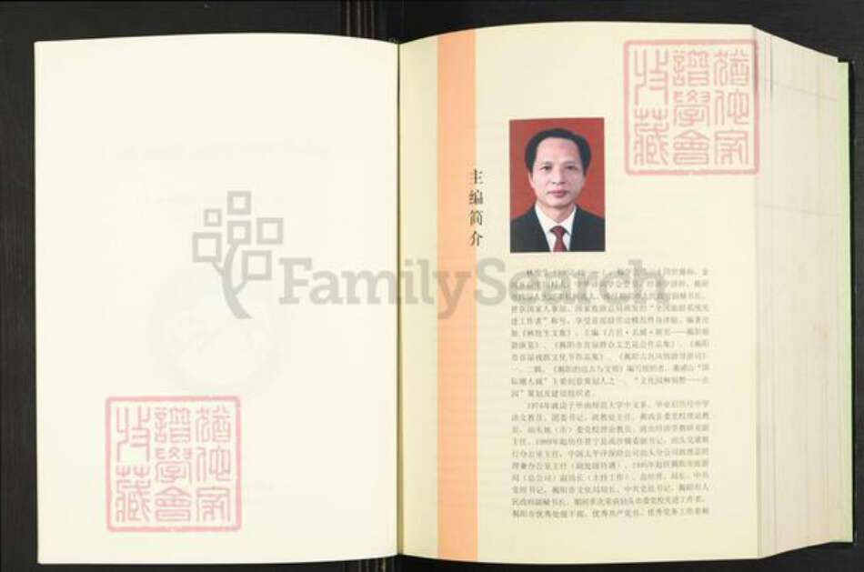 广东省揭阳市揭西县良田乡林氏族谱-揭邑金坑林氏族谱.pdf电子版预览图4