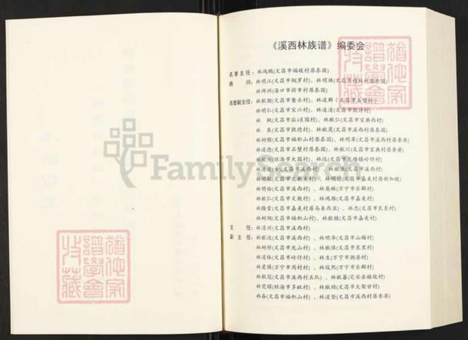 海南省文昌市文教镇林氏族谱-溪西林族谱.pdf电子版预览图3