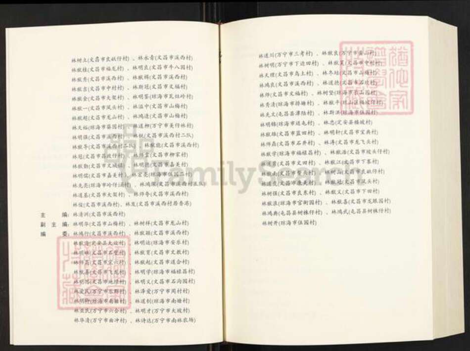 海南省文昌市文教镇林氏族谱-溪西林族谱.pdf电子版预览图4