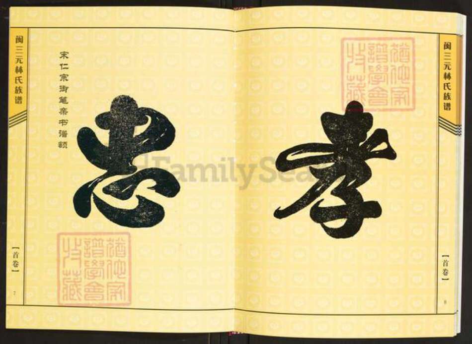 福建省三明市将乐县三元林氏族谱-闽三元林氏族谱.pdf电子版预览图5