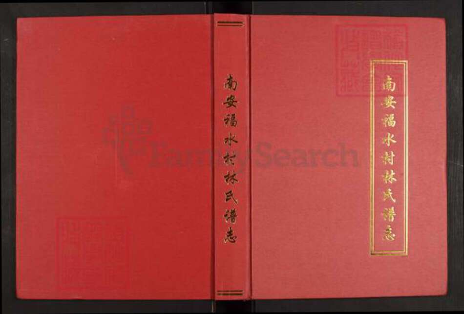 福建省泉州市南安市康美镇林氏九牧传芳族谱-南安福水村林氏谱志.pdf电子版缩略图