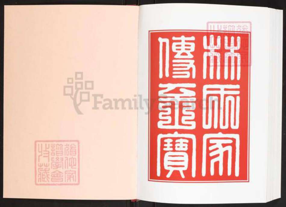 福建省泉州市南安市康美镇林氏九牧传芳族谱-南安福水村林氏谱志.pdf电子版预览图2