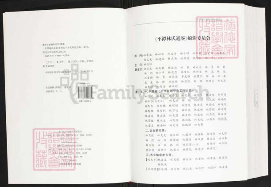福建省福州市平潭县林氏族谱-平潭林氏通鉴.pdf电子版预览图2