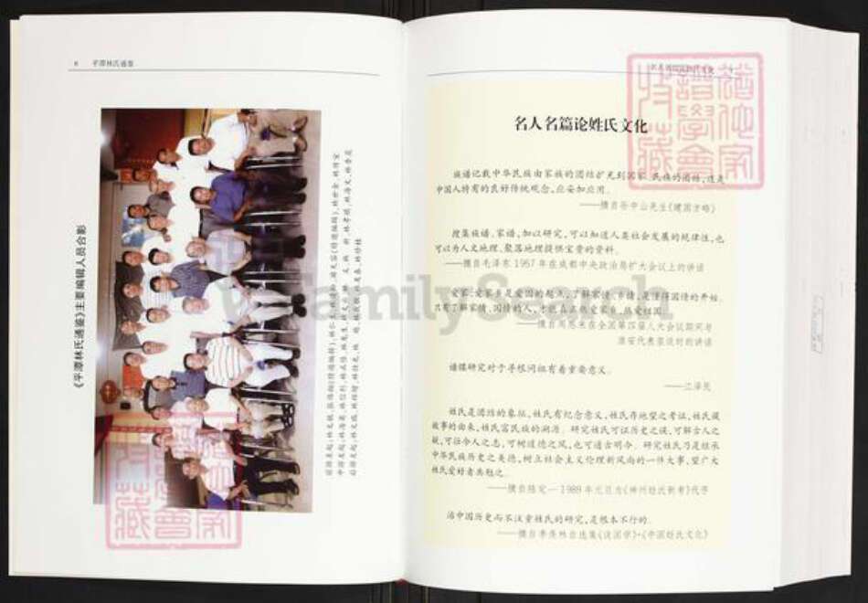 福建省福州市平潭县林氏族谱-平潭林氏通鉴.pdf电子版预览图5