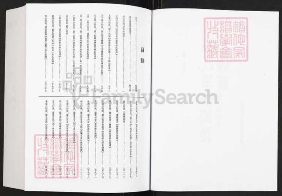 福建省福州市晋安区林氏族谱-林氏藩衍迁徙渊源谱.pdf电子版预览图2