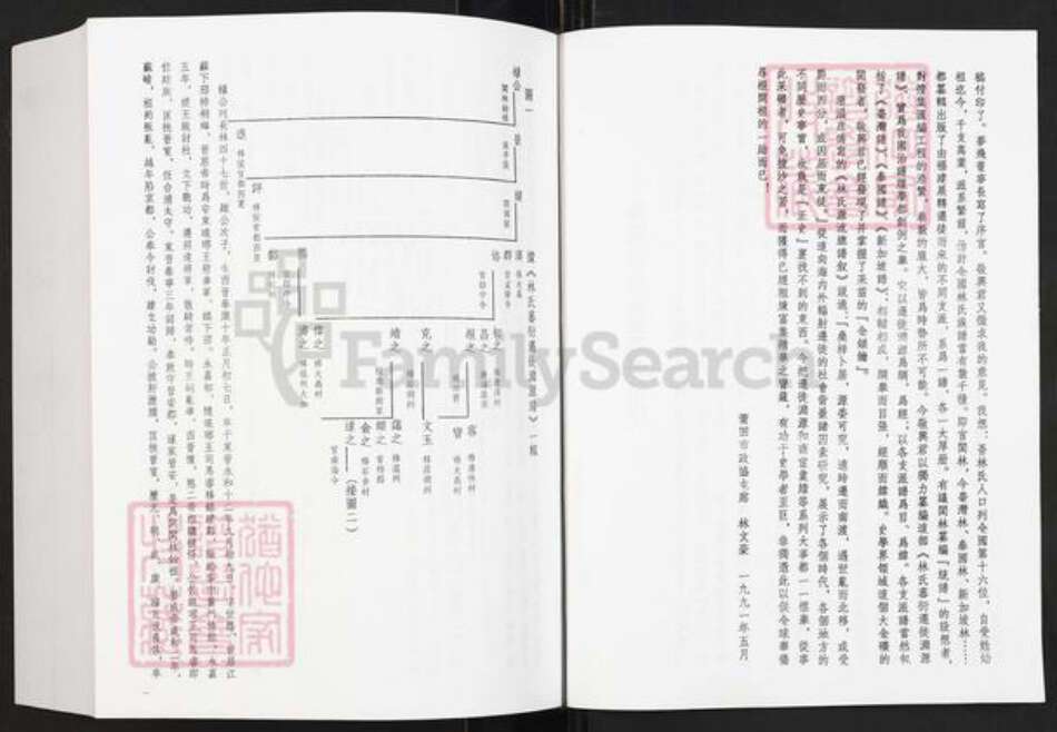 福建省福州市晋安区林氏族谱-林氏藩衍迁徙渊源谱.pdf电子版预览图5