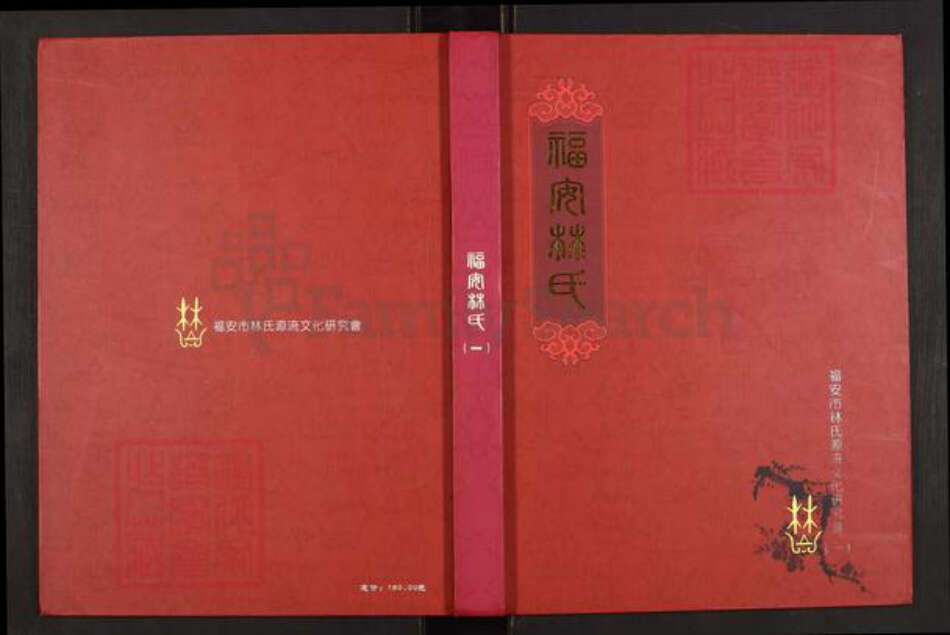 福建省宁德市福安市林氏族谱-福安林氏.pdf电子版缩略图