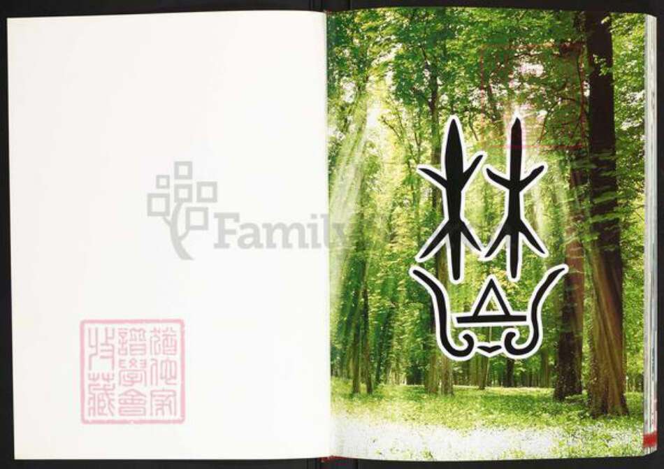 福建省宁德市福安市林氏族谱-福安林氏.pdf电子版预览图1