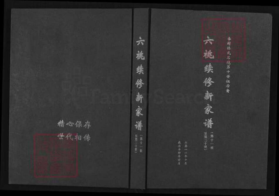 重庆市南岸区林氏族谱-六桃续修新家谱.杏村林氏石境第十世祖后裔.pdf电子版缩略图