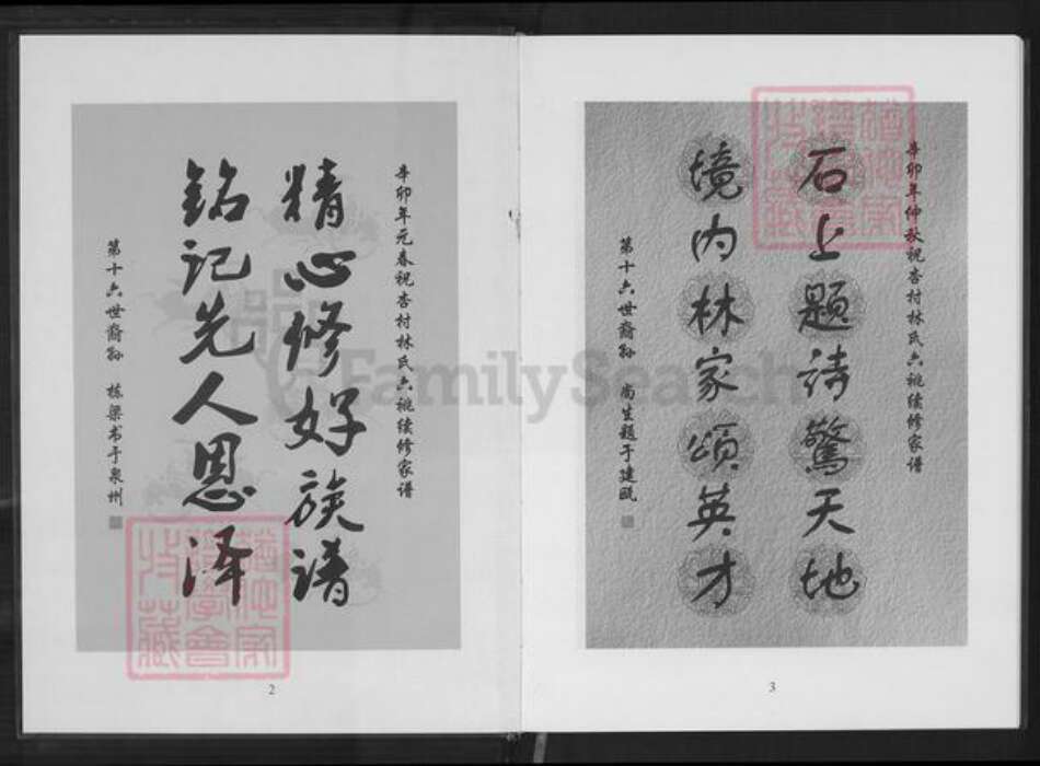重庆市南岸区林氏族谱-六桃续修新家谱.杏村林氏石境第十世祖后裔.pdf电子版预览图2
