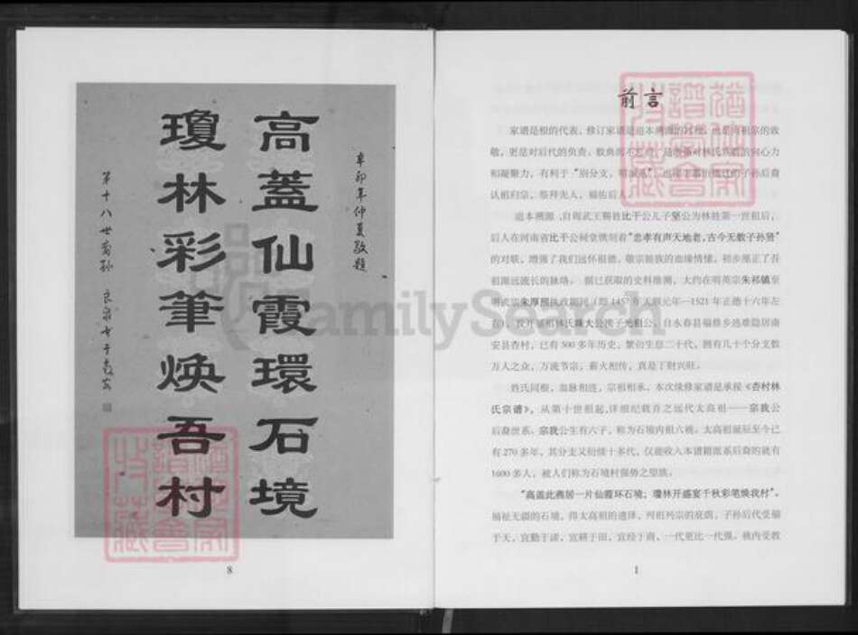 重庆市南岸区林氏族谱-六桃续修新家谱.杏村林氏石境第十世祖后裔.pdf电子版预览图5