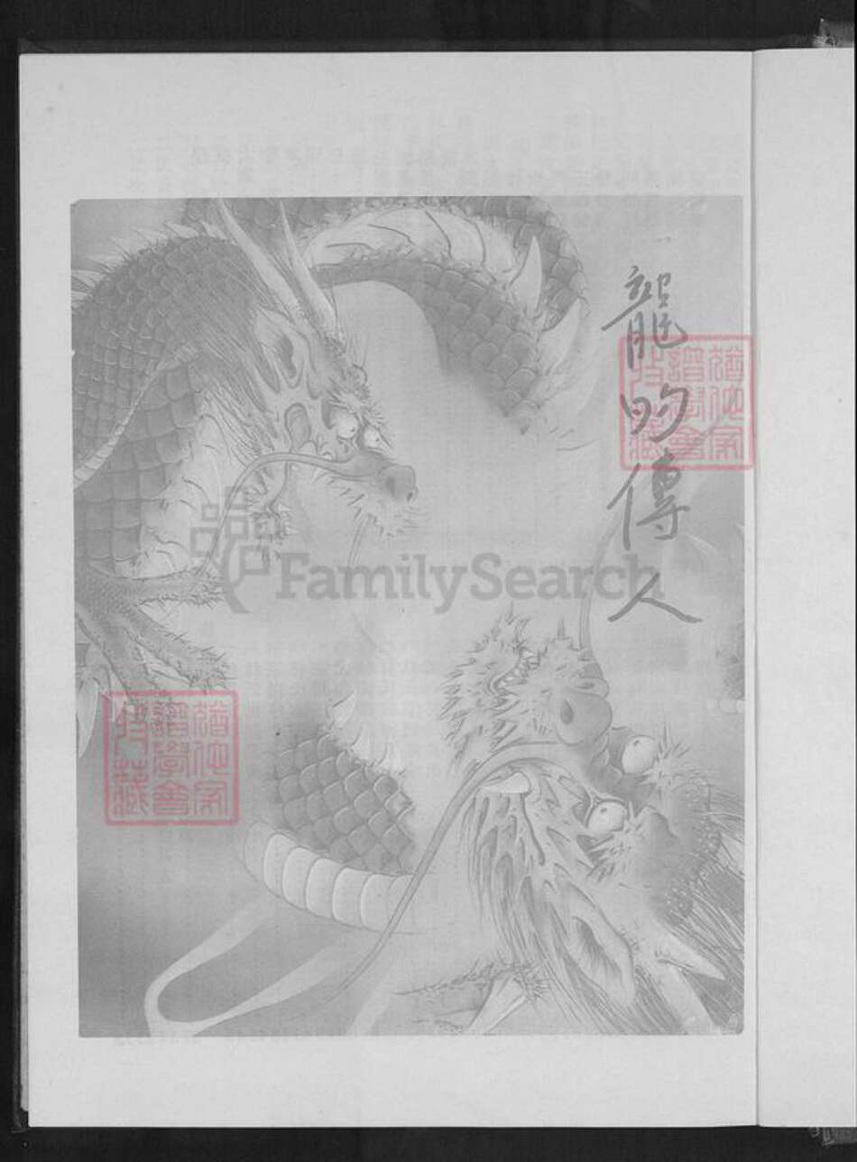 台湾新北市五股区林氏族谱-林氏族谱.pdf电子版预览图2