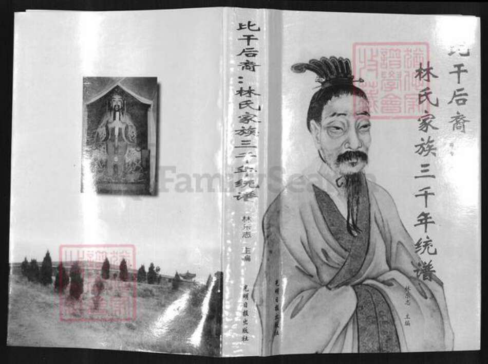 山东省聊城市茌平区林氏族谱-比干后裔: 林氏家族三千年统谱.pdf电子版缩略图