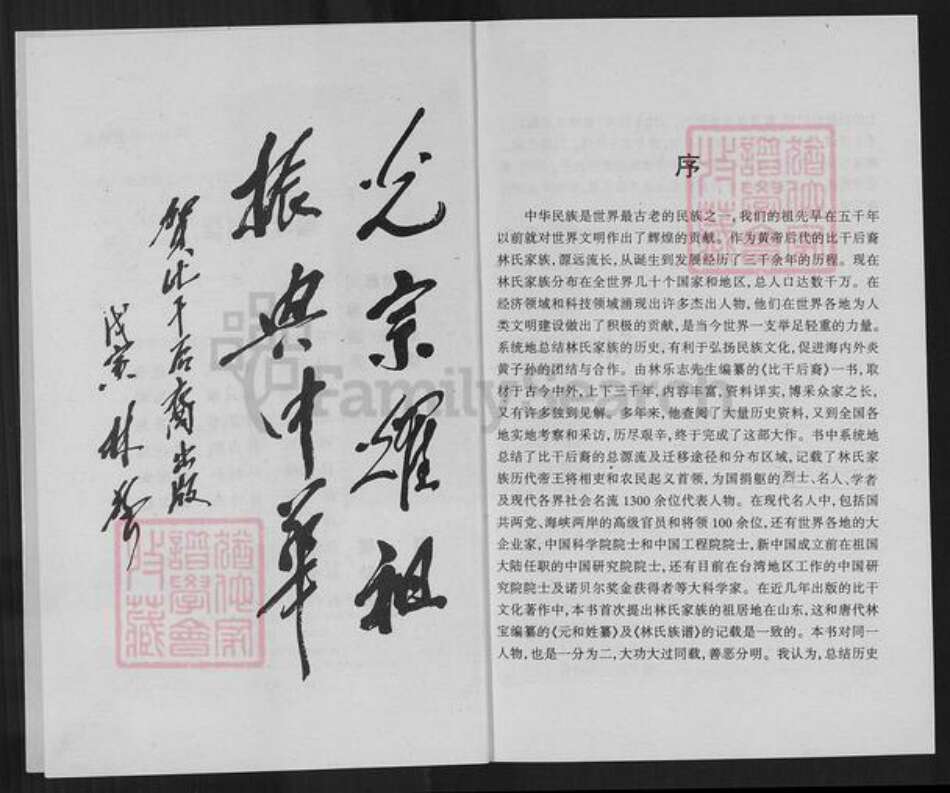 山东省聊城市茌平区林氏族谱-比干后裔: 林氏家族三千年统谱.pdf电子版预览图3